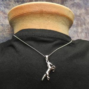 Aufhänger STUTE LUNA - ein Pferd im Sprung, ein Pferd auf seinen Hinterbeinen 2