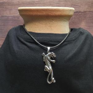 PUMA - velká, ale stále kočka 2