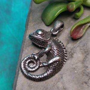 CHAMELEON - symbol of adaptation