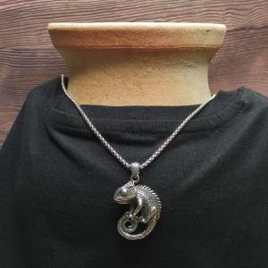 CHAMELEON - symbol of adaptation 2