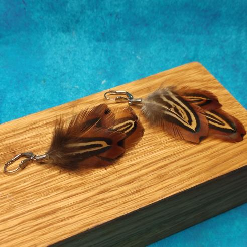 PHEASANT earrings made of feathers - with distinctive pattern