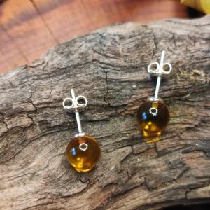 Amber earrings - round pips in caramel clear colour