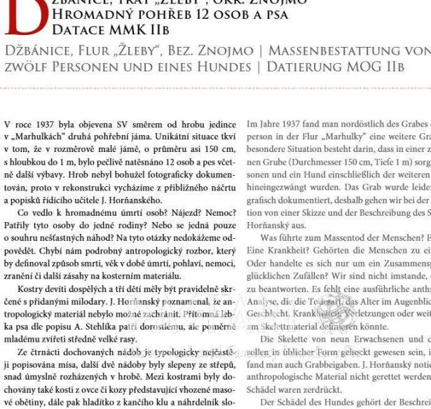 KNIHA POHŘBY V MLADŠÍ DOBĚ KAMENNÉ, Alena Nejedlá - dvojjazyčná