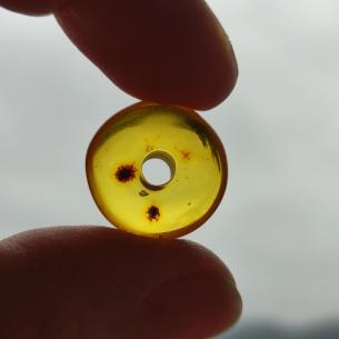 Baltischer BERNSTEINPERLE – DONUT, RINGPERLE, DISK – origineller Schmuck