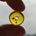 Baltic AMBER BEAD - DONUT, RINGPEARL, DISC - original jewelry