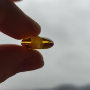 Baltic AMBER BEAD - DONUT, RINGPEARL, DISC - original jewelry 2