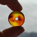 JANTAROVÝ KORÁLEK - Baltský jantar - DONUT, RINGPERLA, DISK - originální šperk