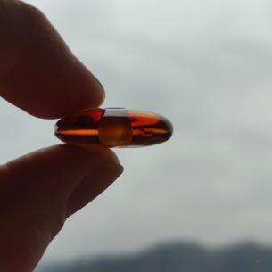 Baltischer BERNSTEINPERLE – DONUT, RINGPERLE, DISK – origineller Schmuck 2