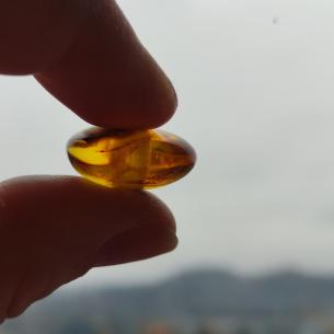 Baltic AMBER BEAD - DONUT, RINGPEARL, DISC - original jewelry 2