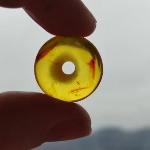 Baltic AMBER BEAD - DONUT, RINGPEARL, DISC - original jewelry