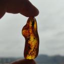 Genuine Baltic amber–nuggets without a hole, perfect for carving