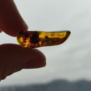 Genuine Baltic amber–nuggets without a hole, perfect for carving