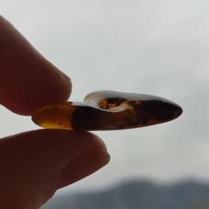 Genuine Baltic amber–nuggets without a hole, perfect for carving 2