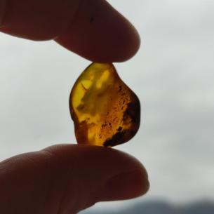 Genuine Baltic amber–nuggets without a hole, perfect for carving
