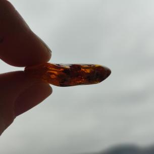 Genuine Baltic amber–nuggets without a hole, perfect for carving 2