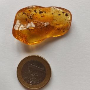 Genuine Baltic amber–nuggets without a hole, perfect for carving 2