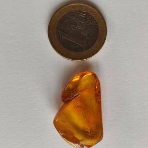Genuine Baltic amber–nuggets without a hole, perfect for carving 2