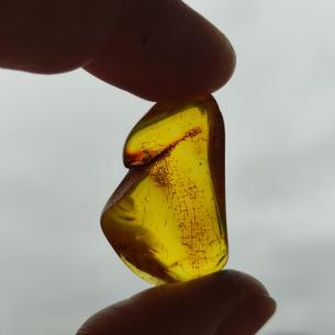 Genuine Baltic amber–nuggets without a hole, perfect for carving