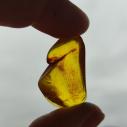 Genuine Baltic amber–nuggets without a hole, perfect for carving