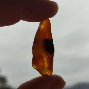 Genuine Baltic amber–nuggets without a hole, perfect for carving