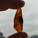 Genuine Baltic amber–nuggets without a hole, perfect for carving