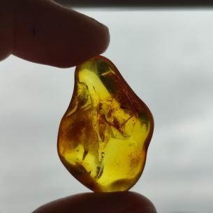 Genuine Baltic amber–nuggets without a hole, perfect for carving