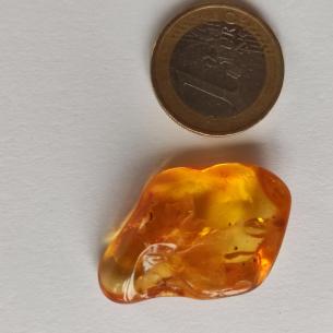Genuine Baltic amber–nuggets without a hole, perfect for carving 2