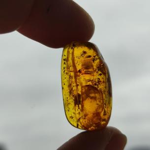 Genuine Baltic amber–nuggets without a hole, perfect for carving