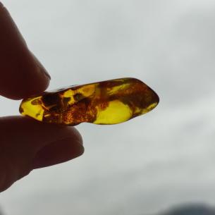 Genuine Baltic amber–nuggets without a hole, perfect for carving