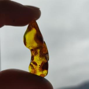 Genuine Baltic amber–nuggets without a hole, perfect for carving 2