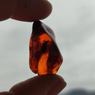Genuine Baltic amber–nuggets without a hole, perfect for carving