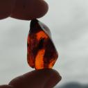 Genuine Baltic amber–nuggets without a hole, perfect for carving