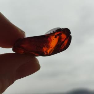 Genuine Baltic amber–nuggets without a hole, perfect for carving 2