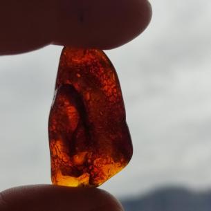 Genuine Baltic amber–nuggets without a hole, perfect for carving