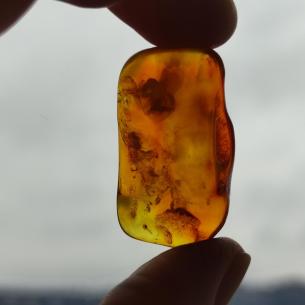 Genuine Baltic amber–nuggets without a hole, perfect for carving