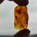 Genuine Baltic amber–nuggets without a hole, perfect for carving