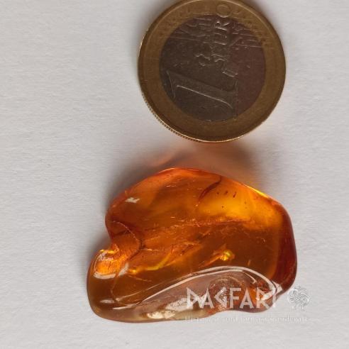 Genuine Baltic amber–nuggets without a hole, perfect for carving