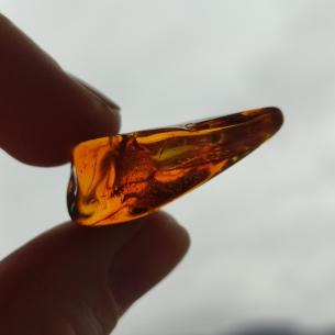 Genuine Baltic amber–nuggets without a hole, perfect for carving 2
