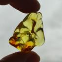 Genuine Baltic amber–nuggets without a hole, perfect for carving