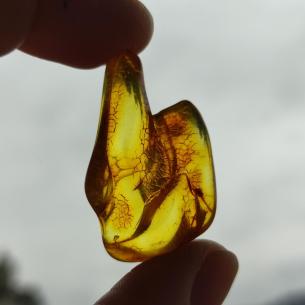 Genuine Baltic amber–nuggets without a hole, perfect for carving