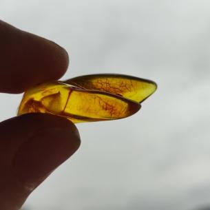 Genuine Baltic amber–nuggets without a hole, perfect for carving 2
