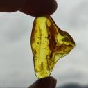 Genuine Baltic amber–nuggets without a hole, perfect for carving