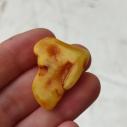 Genuine Baltic amber–nuggets without a hole, perfect for carving
