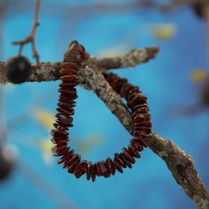 Bernstein Armband natur- Bratlinge - Rubin farbe