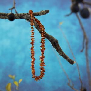 Amber necklace, children's size - patties - cognac color