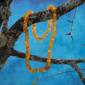 TOP Náhrdelník Jantar zářivé medové kousky, které sluší všem