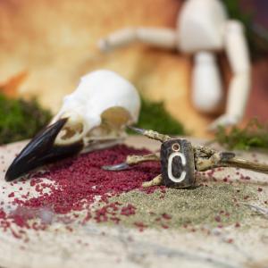 Pendant "C" carved into deer antler 2