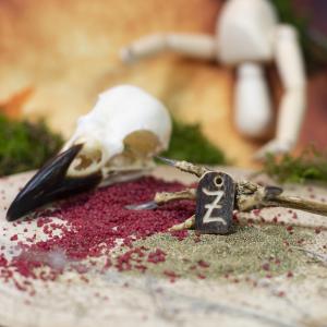 Pendant "Z" carved into deer antler 2