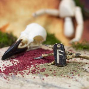 Anhänger - Rune ,,ANSUZ" [ a ] - Wikinger-Hirschgeweih-Amulett 2