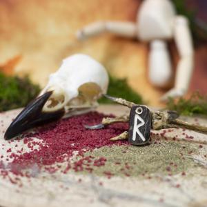 Pendant - Rune ,,RAIDO" [ r ] - Viking deer antler amulet 2